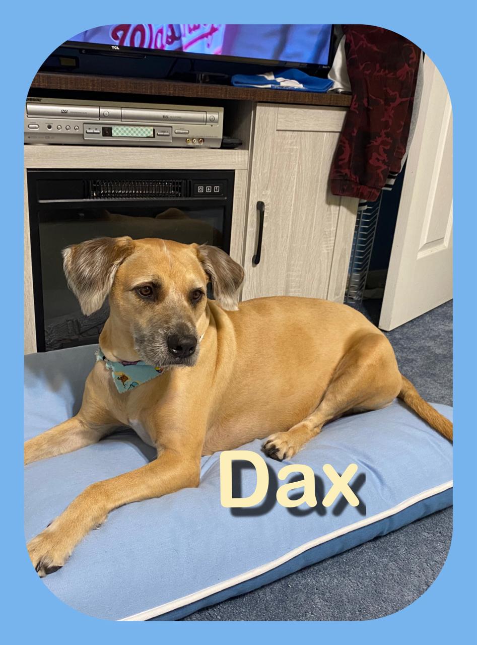 Dax